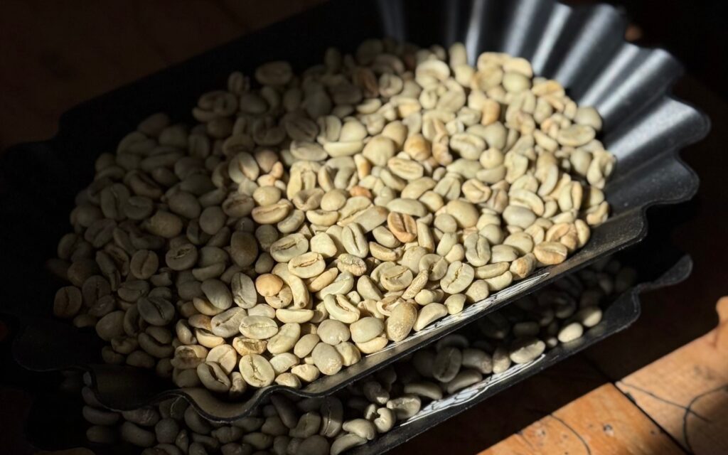 what makes gayo coffee unique, keunikan kopi gayo